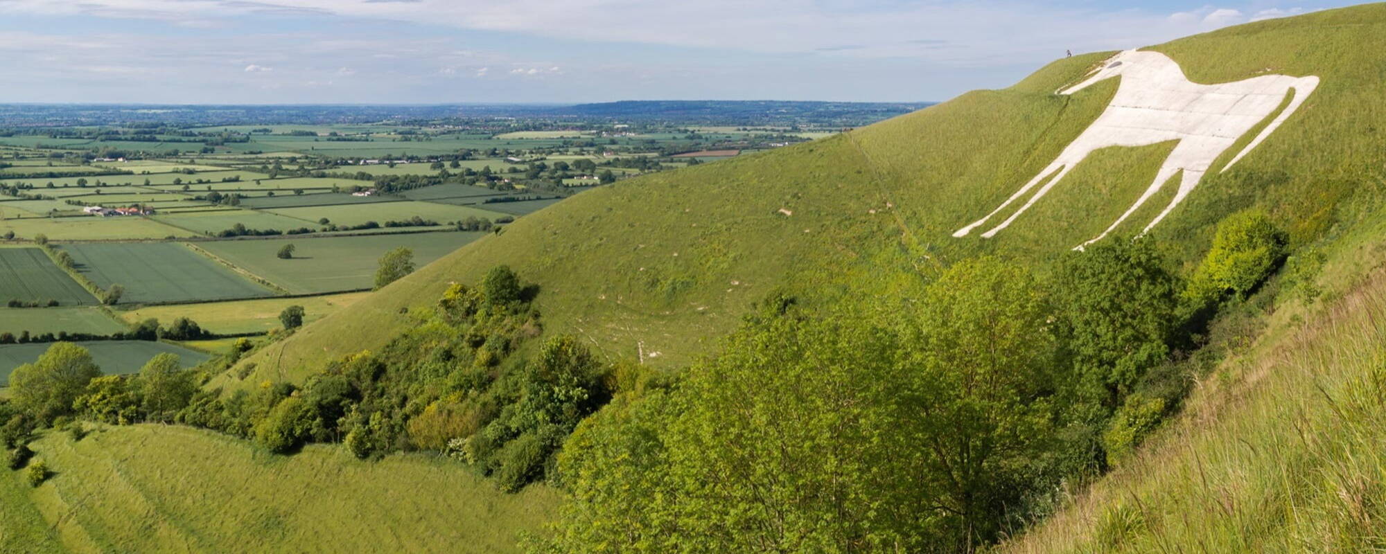 Westbury White Horse